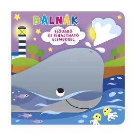 9789634834489 Ki bújt el?-Bálnák