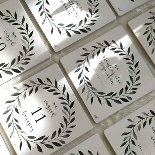 BB20-20251830 Babakártya, Mérföldkő