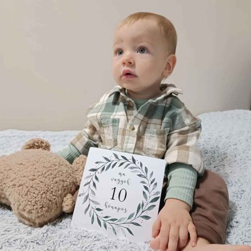 BB20-20251830 Babakártya, Mérföldkő