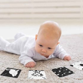 BB20-20251836 Babakártya, Kontrasztkártya csomag