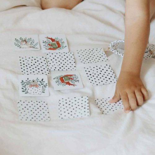 BB20-20251838 Gyerek memóriakártya, Állatos 