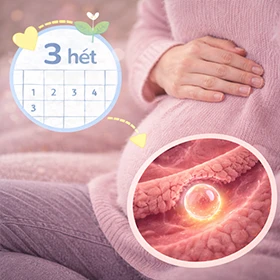 Babavárás hétről-hétre: 3. hét - Elindul a titkos utazás!