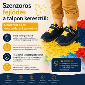 Szenzoros fejlődés a talpon keresztül: A barefoot és az idegrendszer kapcsolata